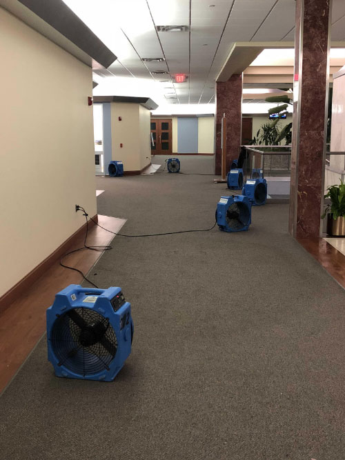 сушка помещения после потопа промышленными вентиляторами